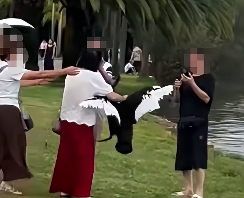 女子云南生态景区内抓黑天鹅脖子摆拍,景区回应